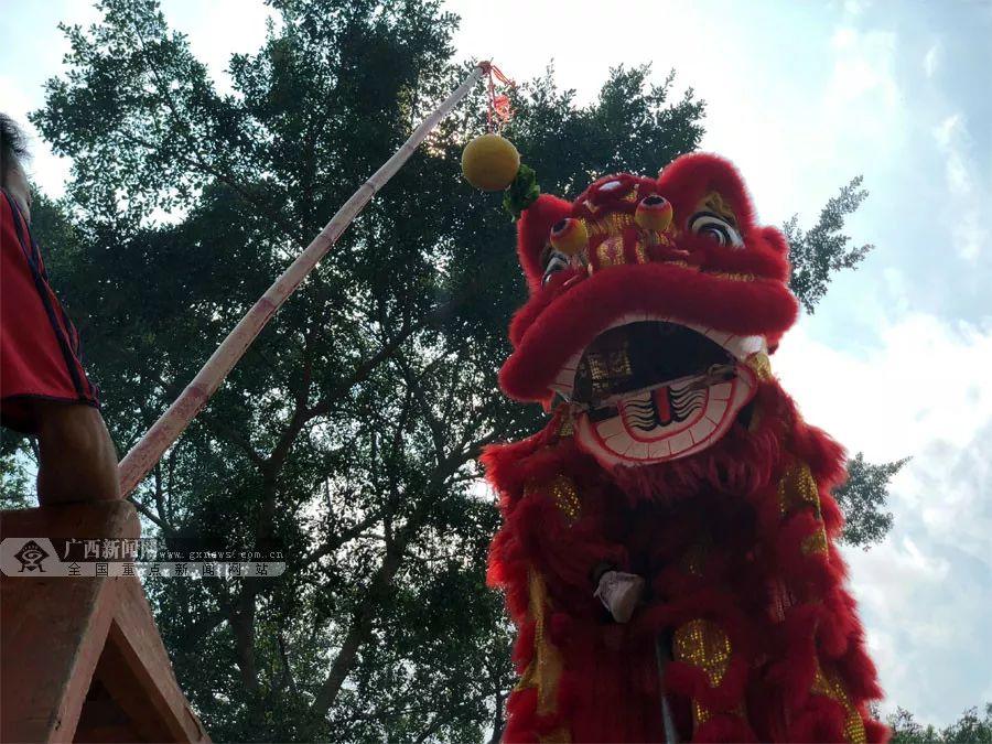 梧州新闻网最新消息综述发布