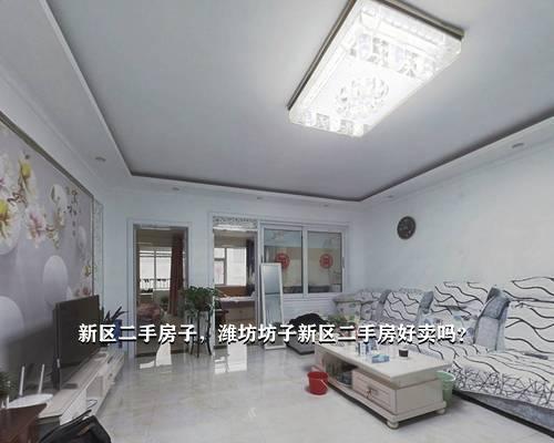 坊子二手房信息最新动态解析及市场分析