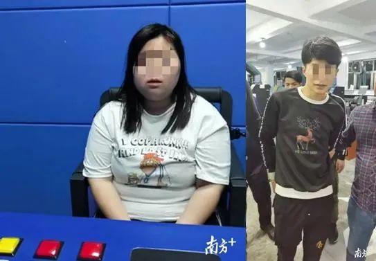 最新公章的设计与使用，重要性、优势及实际应用探讨