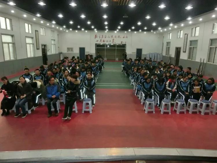 园洲最新动态，城市繁荣发展与民生新篇章揭晓