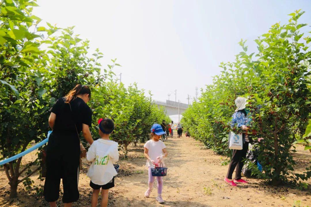 岚山最新动态，地区发展新篇章的揭开