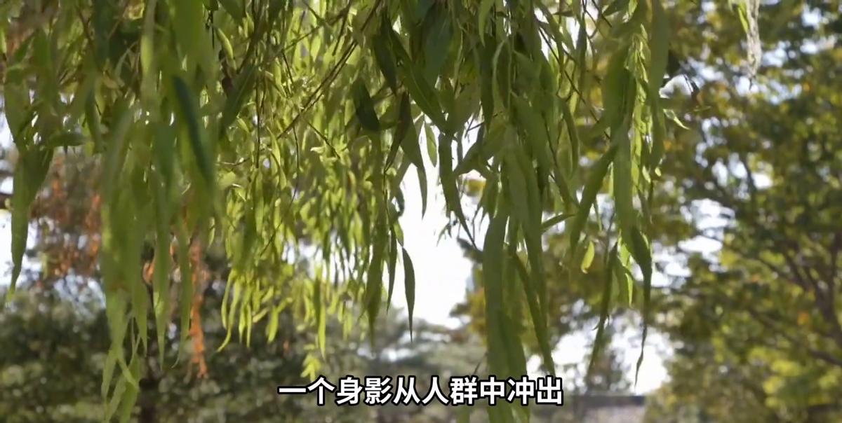 探索情感深处的奥秘，最新心动的瞬间