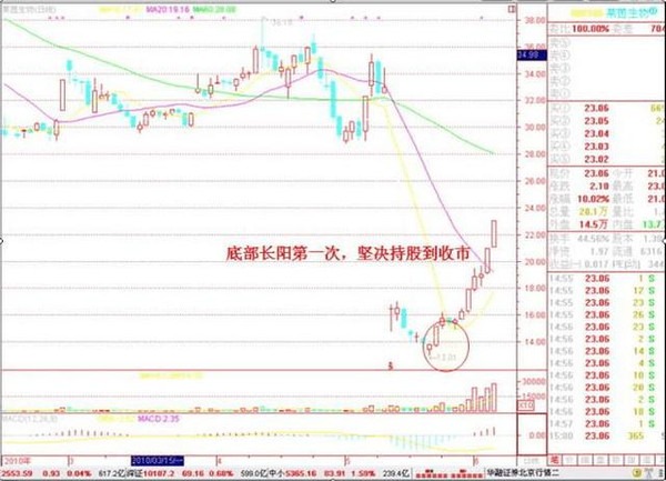 苏佩雄的最新动态与成就概览