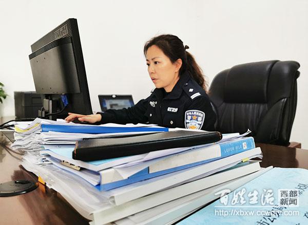 射洪疫情最新情况报告更新，最新动态与进展分析