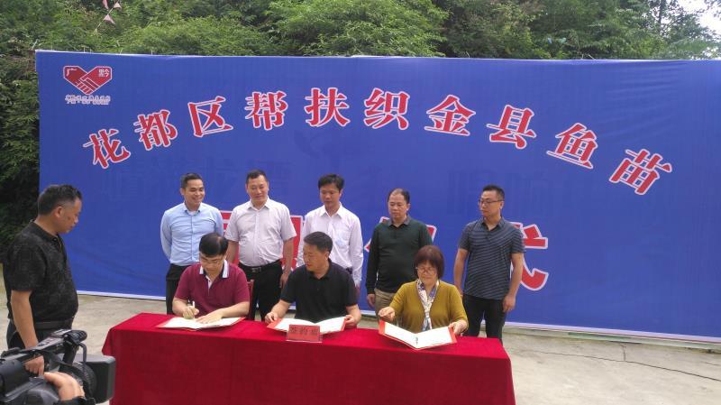 最新驾驶技术引领驾驶新时代革新风潮