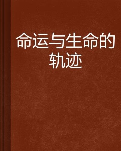 命书最新揭秘，探寻命运之谜，深度解读人生轨迹