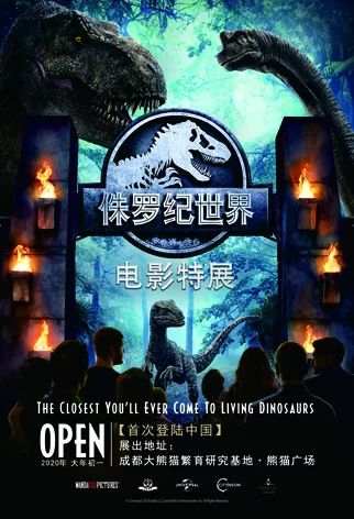 最新电影看图，视觉盛宴与电影艺术的深度探索