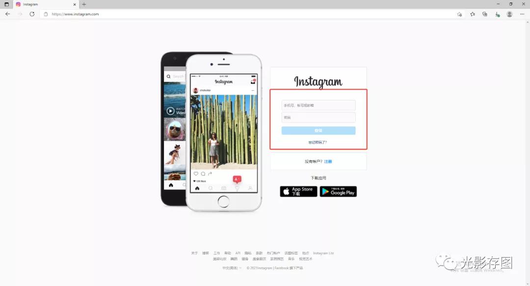 Rose最新Instagram动态，探索绽放的美丽与时尚前沿