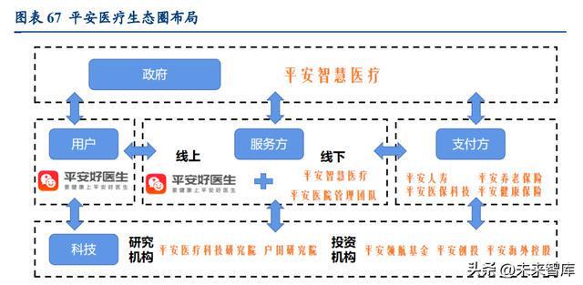 金医保最新动态解析，全面解读与深度探讨