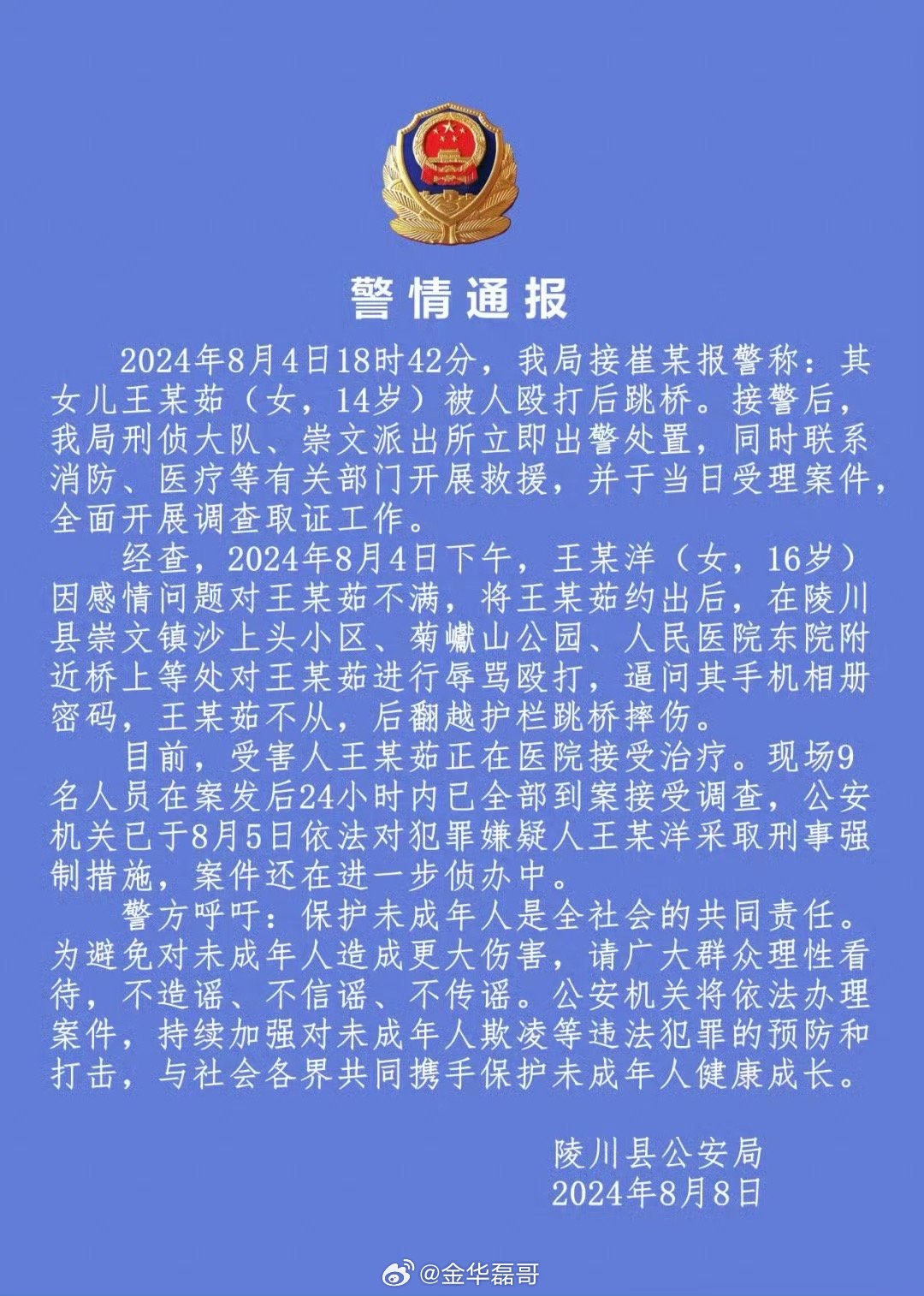 泸溪最新砍人事件，深度分析与反思
