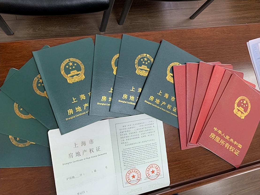 证件号最新更新，重要性、变化及应用解析