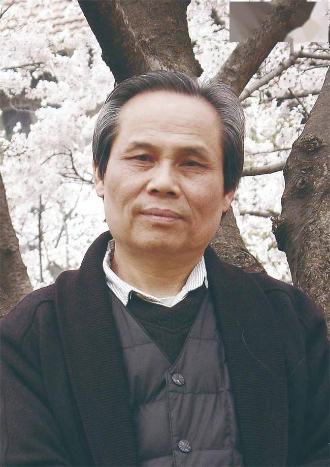 吴良最新书，探索文学新境界之旅