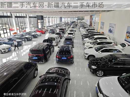 二手车最新资讯概览，掌握最新市场动态与趋势分析