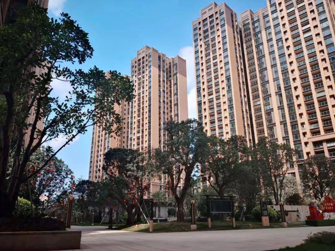 解析行情挑战与机遇并存，聚焦000651的投资领域