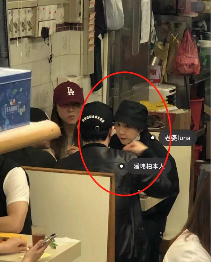 树林偷拍揭秘，探索自然之美的隐秘角落最新画面