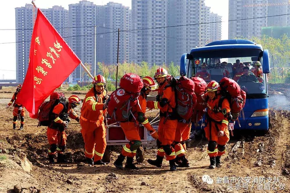 全球最新地震资讯与动态，影响及趋势分析