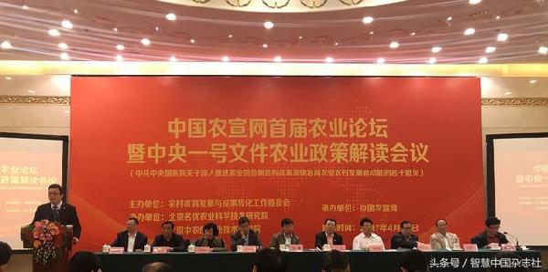 许文利最新动态，迈向未来的步伐与声音揭秘