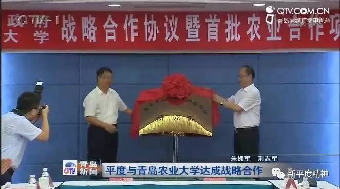 平度最新消息全面解读与分析