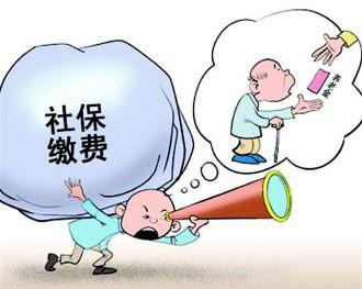最新税务清缴政策解析与概述