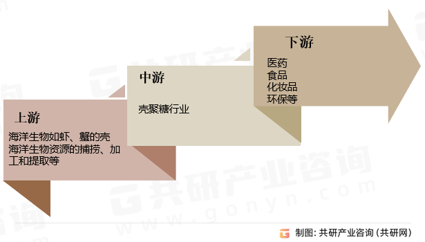 壳聚糖价格走势分析，市场趋势、影响因素与未来展望