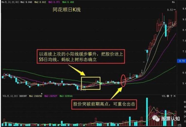 股票跟投，是投资策略还是冒险之旅？
