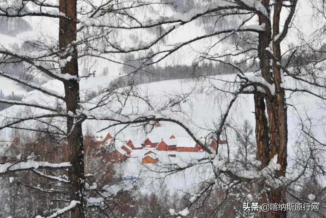 尼桑全新广告重塑品牌魅力，引领未来出行新风尚亮相登场
