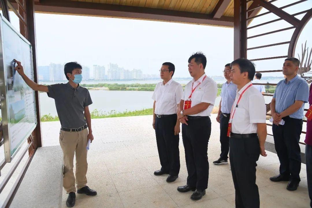 最新野生法，保护自然生态，助力可持续发展
