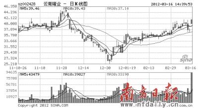 云南锡业股票深度解析与前景展望