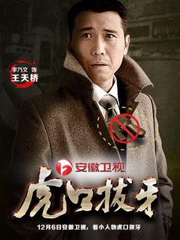电视剧虎口拔牙深度解析与观感分享心得体验