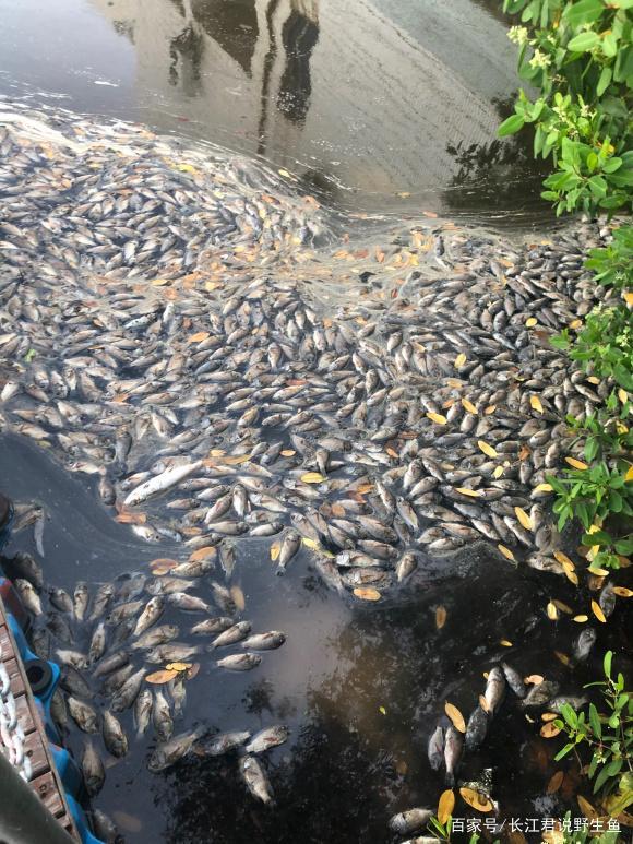海南最新死亡事件深度剖析与解析