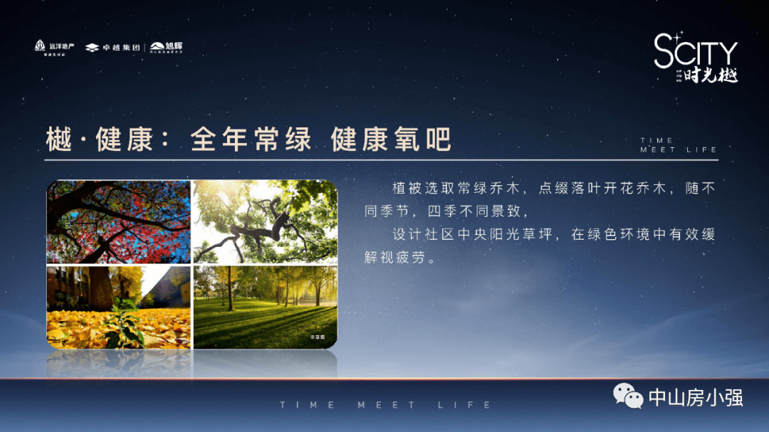 舟山房产资讯，最新楼盘全面解析与楼市动态更新