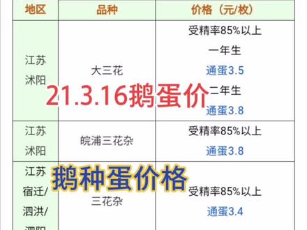 最新鹅蛋价格及动态分析