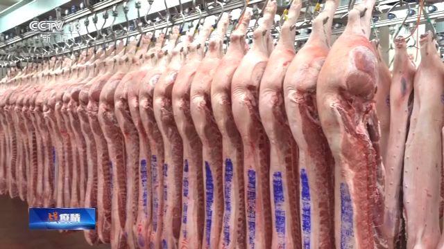 武汉市猪肉价格行情深度解析与趋势分析