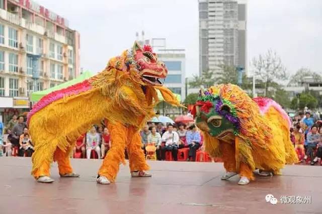象州舞狮比赛视频的魅力探索